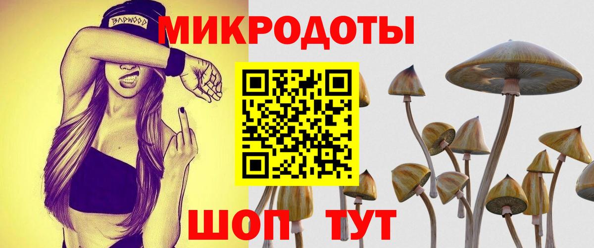 Псилоцибиновые грибы GOLDEN TEACHER  Вход с VPN  Джанкой 